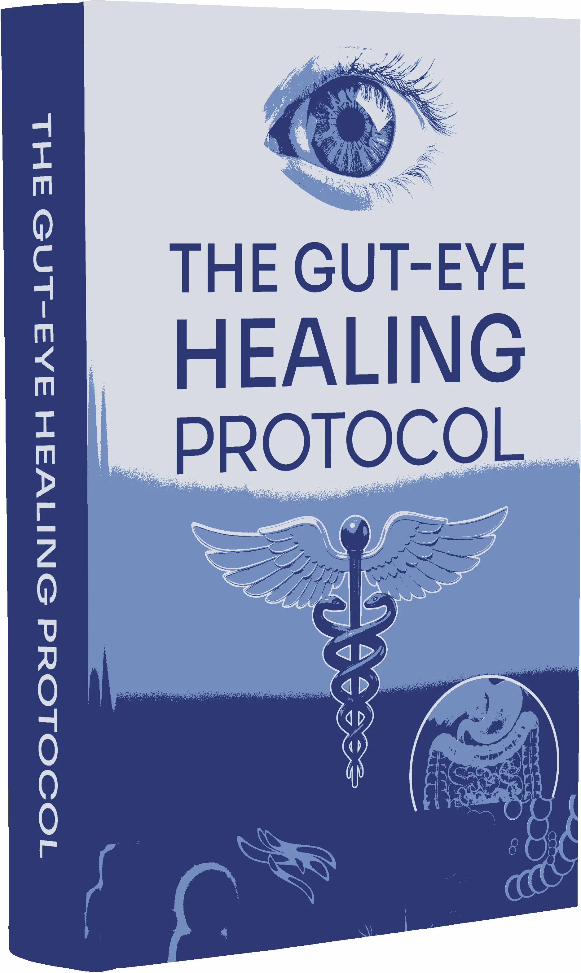 The Gut-Eye Healing Protocol bonus eBook